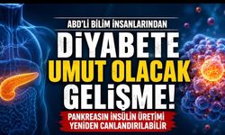 Bilim İnsanları Pankreasın İnsülin Üretimini Yeniden Canlandırabilecek Bir Yöntem Geliştirdi