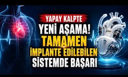 Yapay Kalpte Yeni Aşama: Tamamen İmplante Edilebilir Sistem İçin Başarılı Preklinik Sonuç