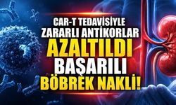 CAR-T Tedavisi Böbrek Naklinde Yeni Bir Kapı Araladı