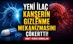 Kanser Hücrelerinin “Gizlenme” Mekanizmasını Hedefleyen Yeni İlaç Umut Verdi