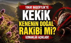 Başçiftlik’te Kekik ve Kene Gözlemi: KKKA Riskinde Bitki Örtüsü Etkili Olabilir mi?