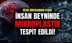 İnsan beyninde mikroplastik alarmı: Demans hastalarında daha yüksek seviyeler bulundu