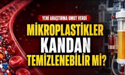 Mikroplastikler Kandan Temizlenebilir mi? Yeni Çalışma Umut Verdi