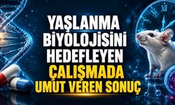 Yaşlanma Sürecini Hedefleyen Çalışmada Umut Veren Bulgular
