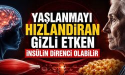 Araştırmacılar Yaşlanmanın Yeni Şüphelisini İşaret Etti: İnsülin Direnci