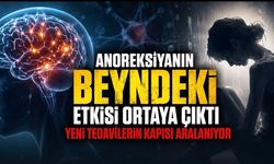 Anoreksiyanın Beyindeki Etkisi Yeni Tedavilerin Kapısını Aralayabilir