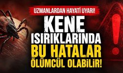 Kene Isırığında İlk Dakikalar Hayati: Yanlış Müdahale KKKA Riskini Artırabilir