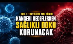 CAR-T tedavisinde güvenlik arayışı: Kanser hücrelerini hedeflerken sağlıklı doku nasıl korunacak?