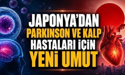 Kalp ve Parkinson Tedavisinde Hücre Umudu
