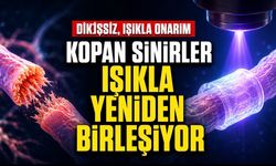 FDA’dan Dikişsiz Sinir Onarımına İzin: Işıkla Sertleşen Polimer Sistemi Dönemi
