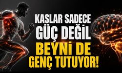 Kaslar Sadece Güç Değil, Beyin Sağlığı da Sağlıyor: Egzersizin Gizli Etkisi Ortaya Kondu