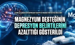 Magnezyum Desteğinin Depresyon Belirtilerini Azalttığı Gösterildi