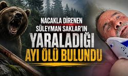 Artvin’de Ayı Saldırısına Nacakla Direnen Adamın Yaraladığı Ayı Ölü Bulundu