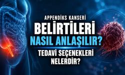 Appendiks Kanseri Nedir, Nasıl Anlaşılır? Belirtiler ve Tedavi Seçenekleri