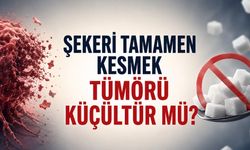 Şekeri Tamamen Kesmek Tümörü Küçültür mü?