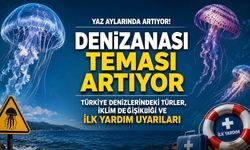 Yaz Aylarında Denizanası Teması Artıyor: Uzmanlardan İlk Yardım ve Korunma Uyarıları