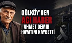 Gölköy’de köpek saldırısında yaralanan Ahmet Demir hayatını kaybetti