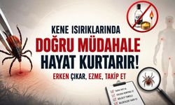 Kene ısırığında doğru bilinen yanlışlar: Kolonya ve yakma riski artırıyor