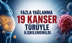 Fazla yağlanma en az 19 kanser türüyle ilişkilendirildi