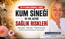 Yaz Aylarının Görünmez Tehdidi: Kum Sineği ve Yol Açtığı Sağlık Riskleri