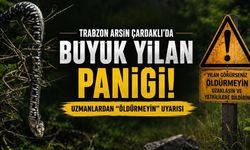 Arsin Çardaklı’da Büyük Yılan Paniği: Uzmanlardan “Öldürmeyin” Uyarısı