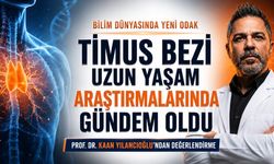Uzun Yaşam Araştırmalarında Yeni Odak: Timus Bezi