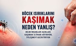 Kaşımak Rahatlatıyor Ama İyileştirmiyor: Böcek Isırıklarında Yapılan Bu Hata Sorunu Büyütebilir