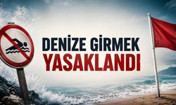 Karadeniz Kıyılarında Denize Giriş Yasağı: Çok Sayıda İlçede Uyarı