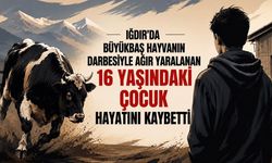 Iğdır’da ahırda acı olay: 16 yaşındaki Muhammet Ali Tazegün hayatını kaybetti