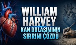 Kalbin Sırrını Açan Hekim: William Harvey
