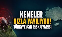 Keneler Hızla Yayılıyor: Türkiye İçin de Risk Uyarısı