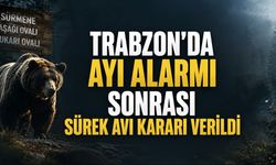 Ayılar Yerleşimlere İndi, Sürmene’de Sürek Avı Kararı