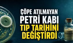 Çöpe Atılmayan Petri Kabı Tıbbın Kaderini Değiştirdi