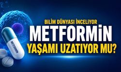 Metformin Yaşamı Uzatıyor mu? Bilim İnsanları Milyonlarca Hastanın Verisini İnceledi