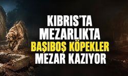 Kıbrıs’ta Mezarlıkta Şoke Eden Görüntü: “Mezarları Kazıyorlar”