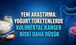 Yeni Araştırma: Yoğurt Tüketenlerde Kolorektal Kanser Riski Daha Düşük