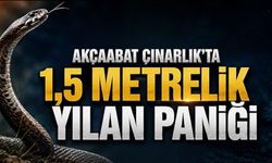 Akçaabat’ta 1,5 Metrelik Yılan Paniği