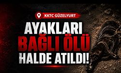 KKTC Güzelyurt’ta Arka Ayakları Bağlı Ölü Köpek Bulundu
