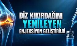 Diz Kıkırdağını Yenileyen Enjeksiyon Umut Verdi: Protez Ameliyatlarını Azaltabilir