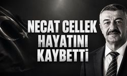Şirvan Belediye Başkanı Necat Cellek hayatını kaybetti