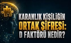 Karanlık Kişiliğin Ortak Şifresi: D Faktörü Nedir?