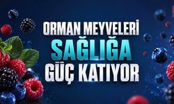 Meyvelerin Küçük Devleri: Böğürtlen, Çilek ve Yaban Mersini Vücuda Ne Sağlıyor?