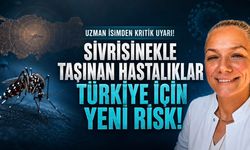 Doç. Dr. Semiha Çelik Ekinci Uyardı: Sivrisineklerle Taşınan Hastalıklarda Türkiye İçin Yeni Risk