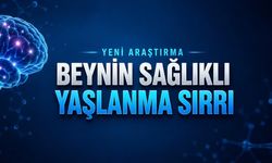 Egzersiz Beyni Yaşlanmaya Karşı Nasıl Koruyor? Yeni Araştırma Mekanizmayı Açıkladı
