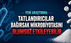 Yeni Araştırma: Tatlandırıcılar Bağırsak Mikrobiyotasını Olumsuz Etkileyebilir