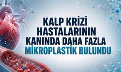 Kalp Krizi Geçiren Hastaların Kanında Mikroplastik Oranı Daha Yüksek Bulundu