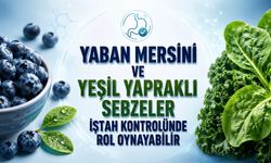 Antioksidan Besinler İştah Kontrolünde Rol Oynayabilir