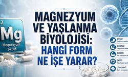 Magnezyum Eksikliği Yaşlanmayı Hızlandırabilir: Hangi Form Ne İşe Yarıyor?