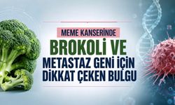 Meme Kanserinde Brokoli ve Metastaz Geni İçin Dikkat Çeken Bulgu