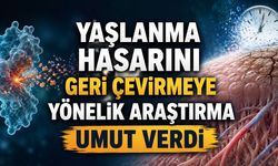 Yaşlanma Hasarını Geri Çevirmeye Yönelik Araştırma Umut Verdi